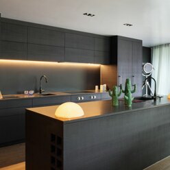 Modern kitchen with black furniture and wooden floor